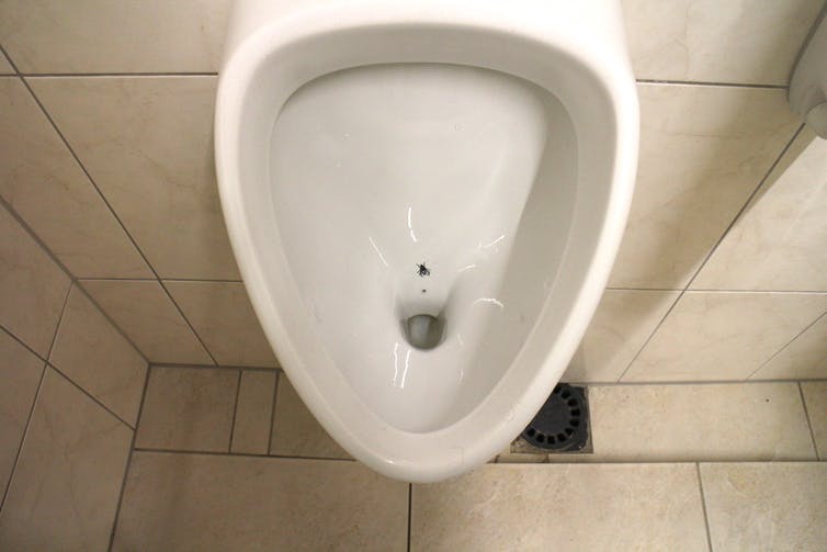 Nudge mouhce dans l'urinoir
