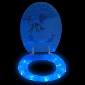 Abattant de WC à LED dans le noir
