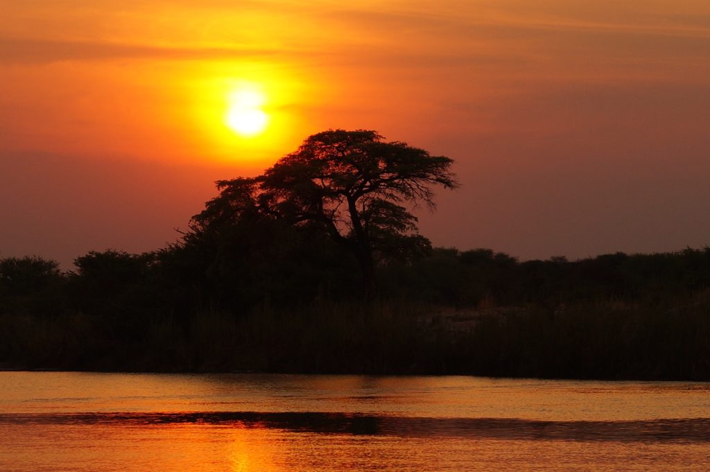 africa, twilight, botswana